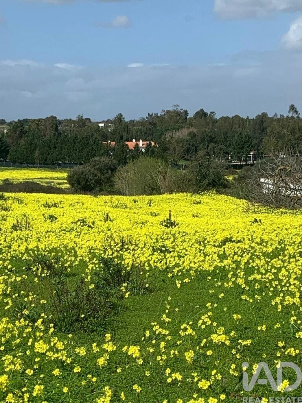 Terreno para Venda em Palmela Foto 7