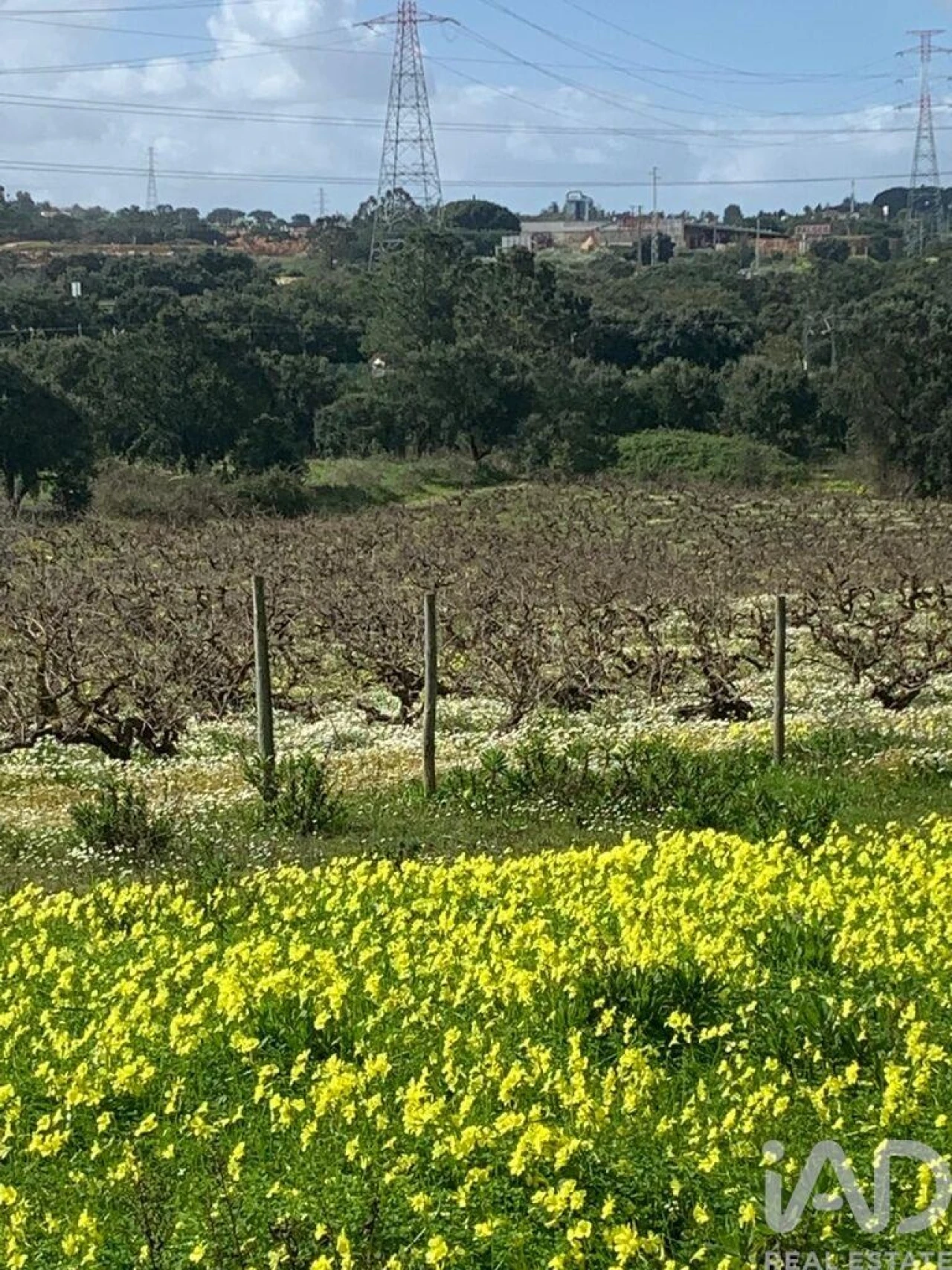 Terreno para Venda em Palmela Foto 5
