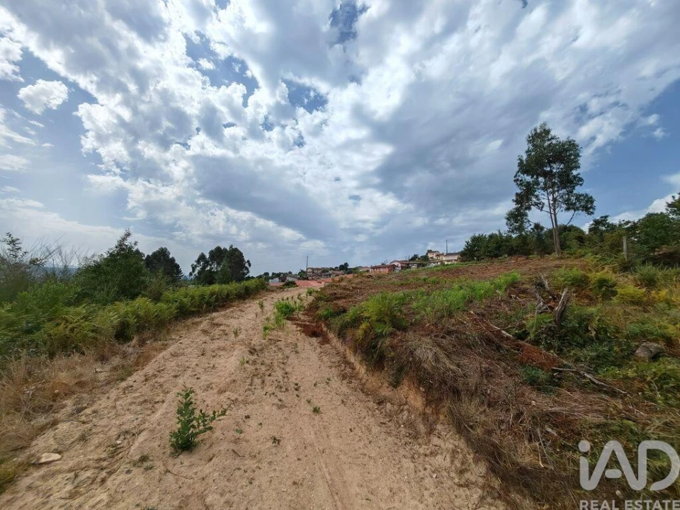 Terreno para Venda em Vila de Cucujães Foto 8
