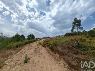Terreno para Venda em Vila de Cucujães