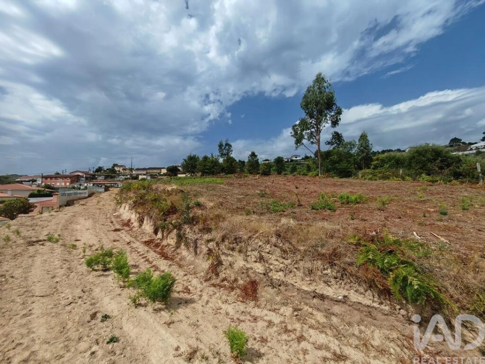Terreno para Venda em Vila de Cucujães Foto 2