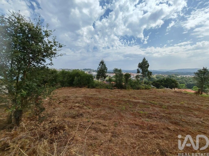 Terreno para Venda em Vila de Cucujães Foto 9