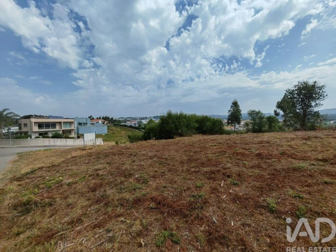 Terreno para Venda em Vila de Cucujães Foto 4