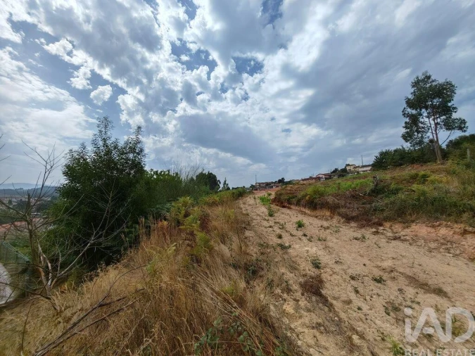 Terreno para Venda em Vila de Cucujães Foto 7