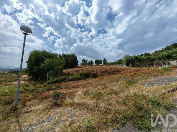 Terreno para Venda em Vila de Cucujães Foto 6