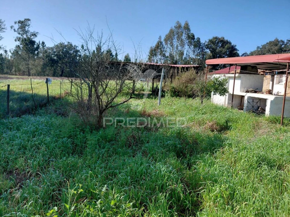 Terreno para Venda em São Domingos e Vale de Água Foto 12