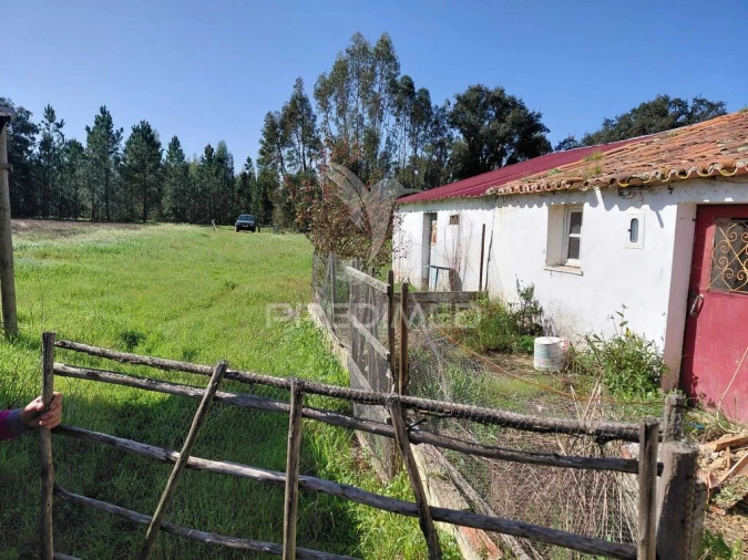 Terreno para Venda em São Domingos e Vale de Água Foto 3