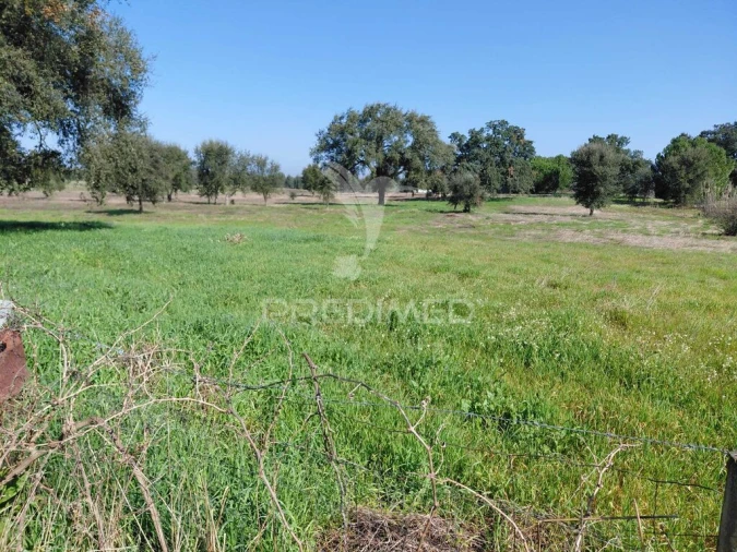 Terreno para Venda em São Domingos e Vale de Água Foto 10