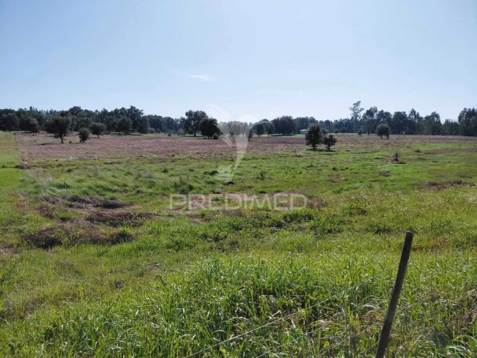 Terreno para Venda em São Domingos e Vale de Água Foto 8