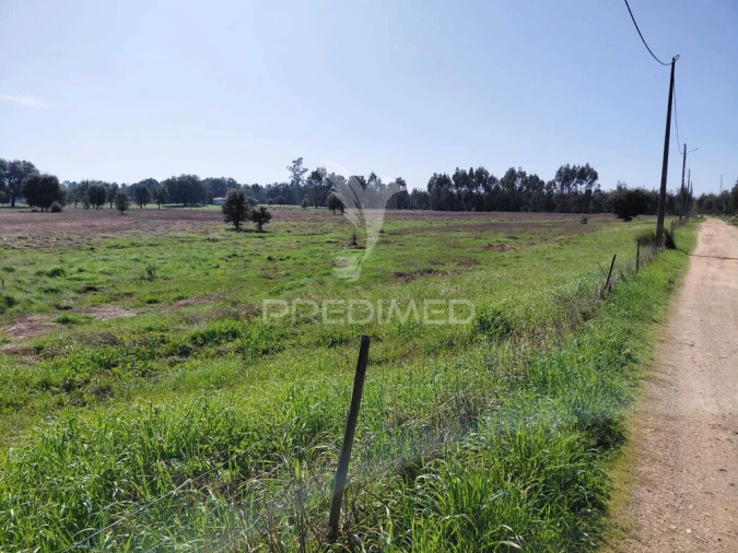 Terreno para Venda em São Domingos e Vale de Água Foto 7