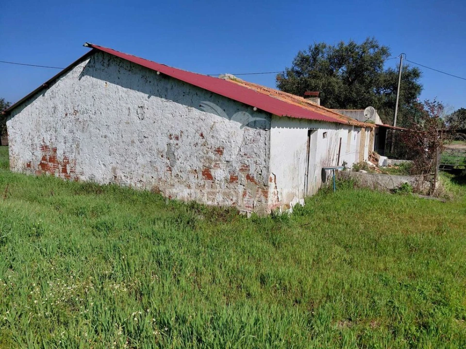 Terreno para Venda em São Domingos e Vale de Água Foto 5