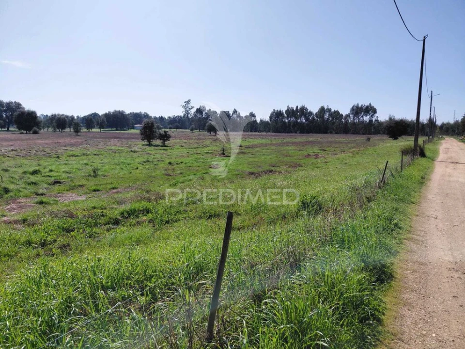 Terreno para Venda em São Domingos e Vale de Água Foto 7