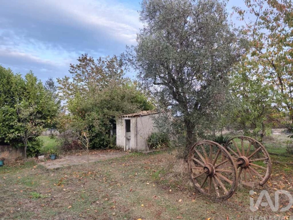 Quinta T5 para Venda em Sabugal e Aldeia de Santo António Foto 10