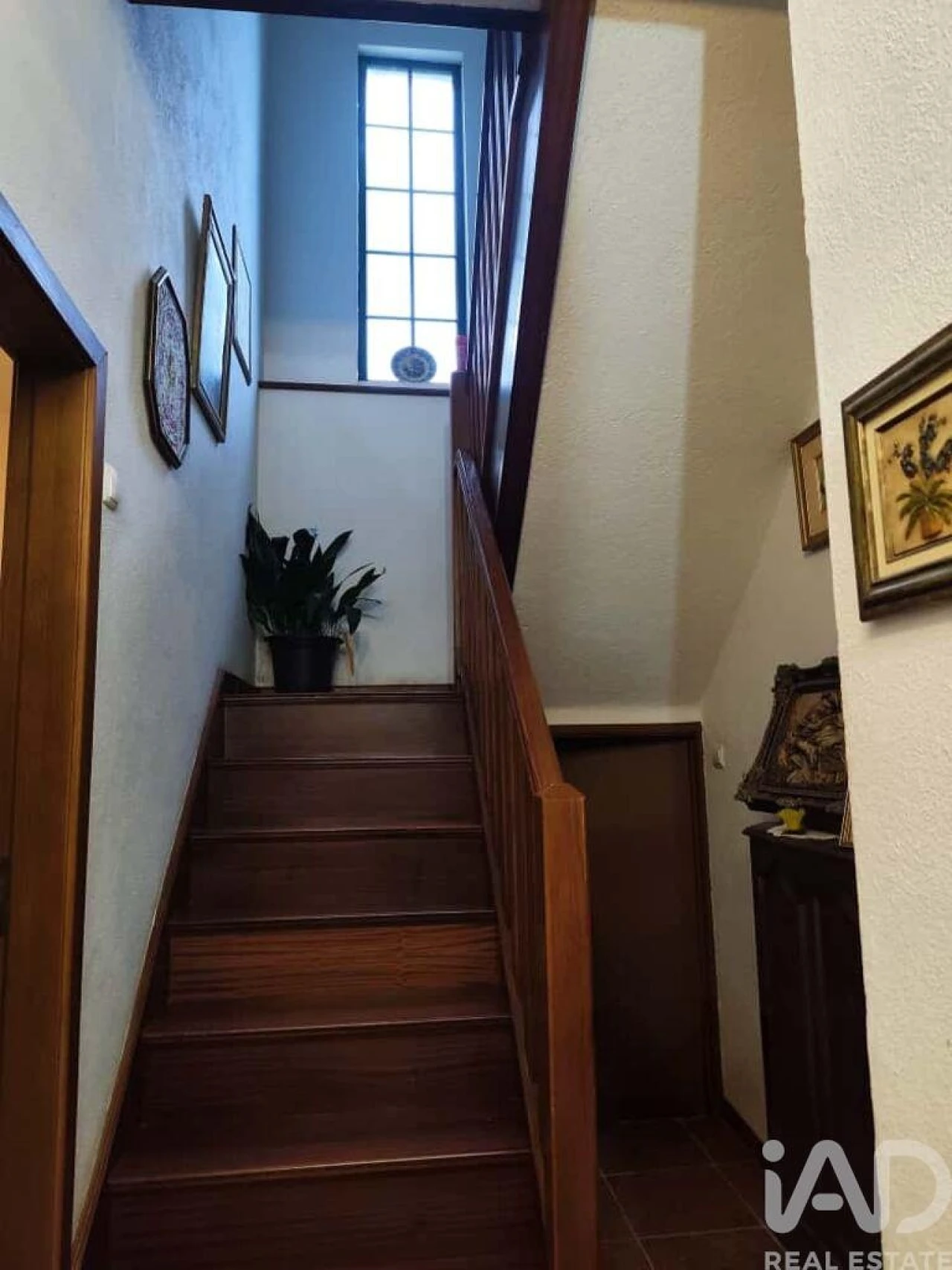 Quinta T5 para Venda em Sabugal e Aldeia de Santo António Foto 23