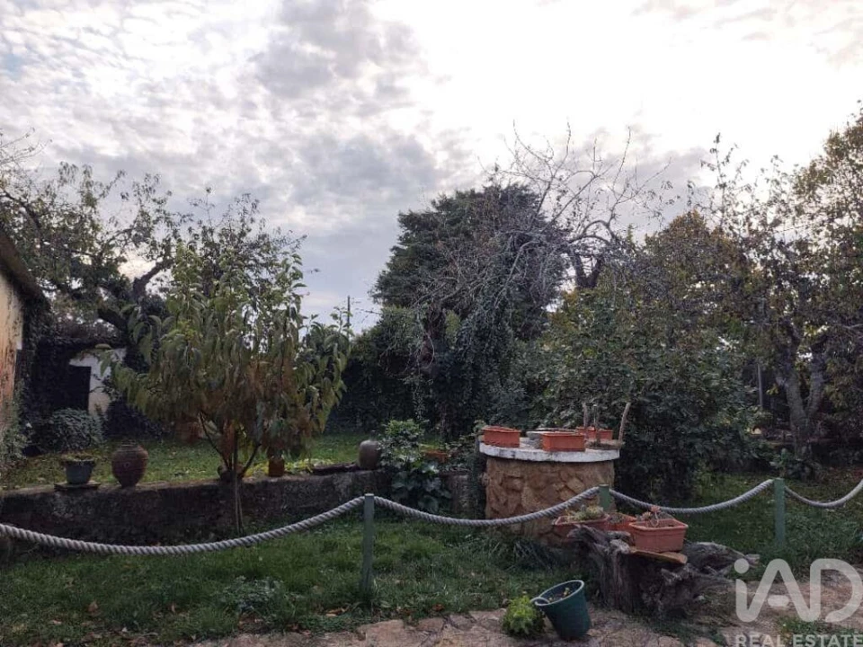 Quinta T5 para Venda em Sabugal e Aldeia de Santo António Foto 36