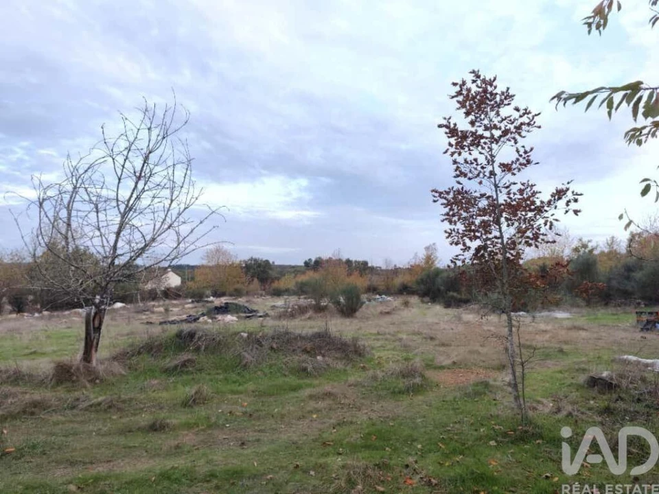 Quinta T5 para Venda em Sabugal e Aldeia de Santo António Foto 40