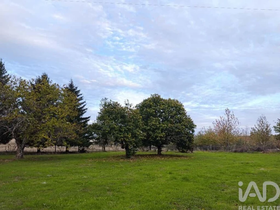 Quinta T5 para Venda em Sabugal e Aldeia de Santo António Foto 14