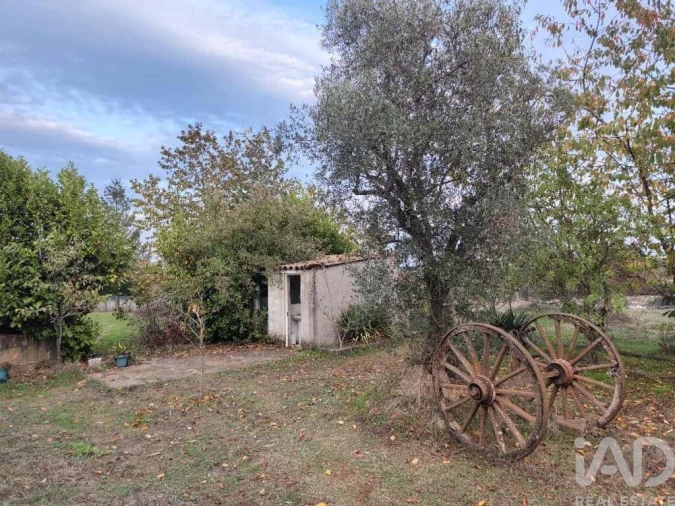 Quinta T5 para Venda em Sabugal e Aldeia de Santo António Foto 10