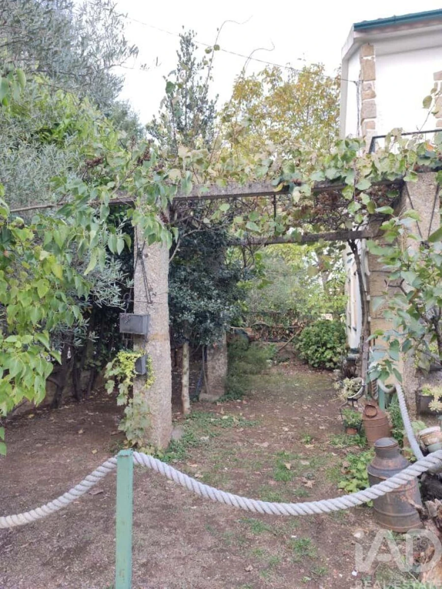 Quinta T5 para Venda em Sabugal e Aldeia de Santo António Foto 6