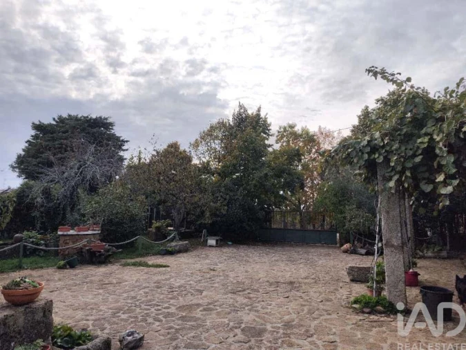 Quinta T5 para Venda em Sabugal e Aldeia de Santo António Foto 5