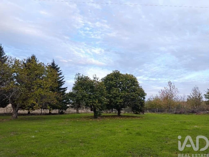 Quinta T5 para Venda em Sabugal e Aldeia de Santo António Foto 14