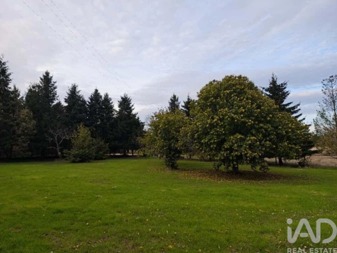 Quinta T5 para Venda em Sabugal e Aldeia de Santo António Foto 13