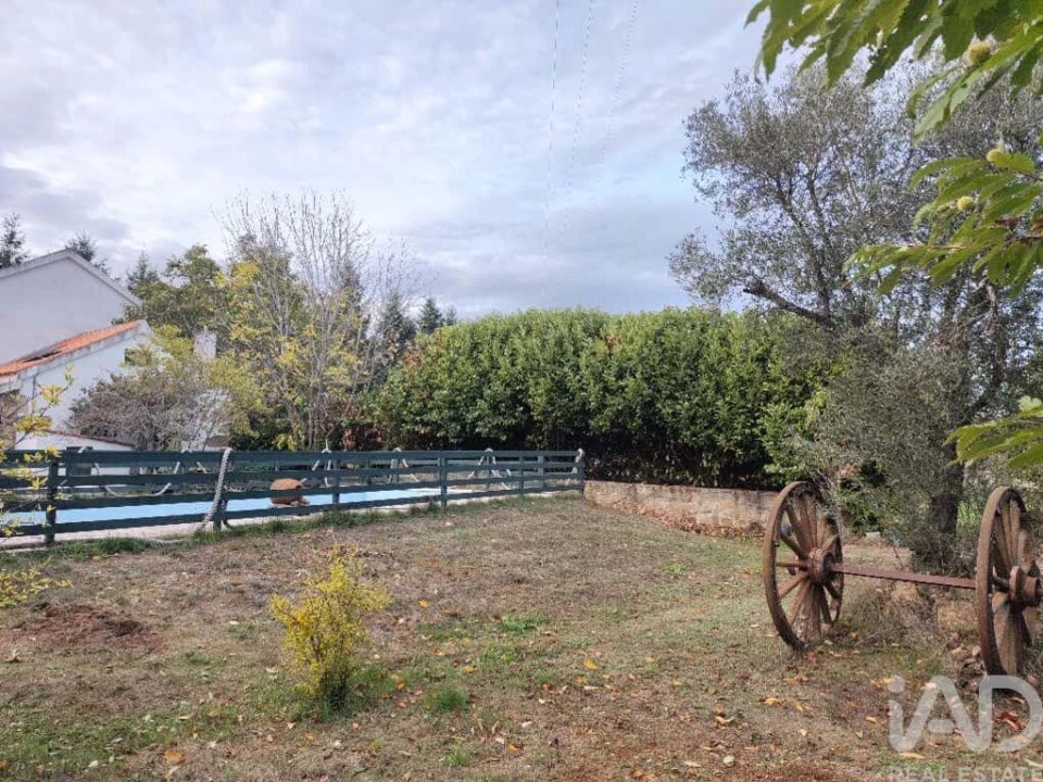 Quinta T5 para Venda em Sabugal e Aldeia de Santo António Foto 9