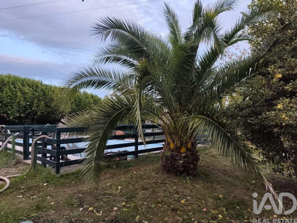 Quinta T5 para Venda em Sabugal e Aldeia de Santo António Foto 11