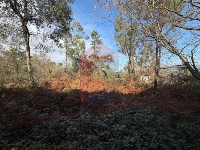 Terreno para Venda em Gême Foto 11