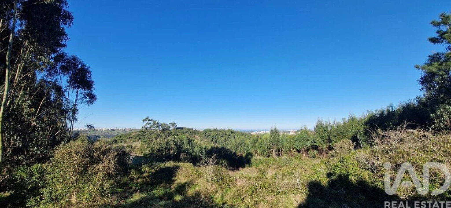 Terreno para Venda em Mafra Foto 21