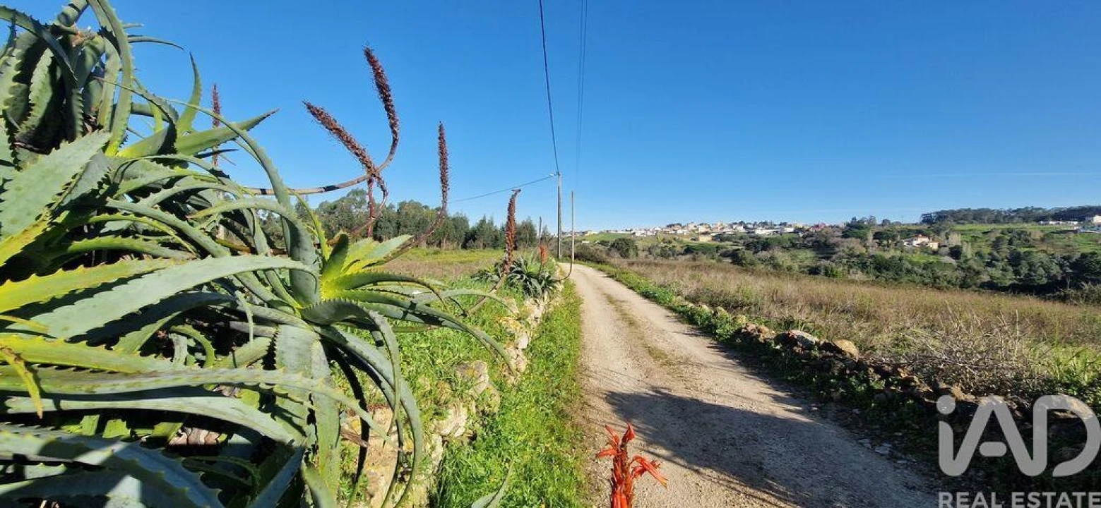Terreno para Venda em Mafra Foto 19