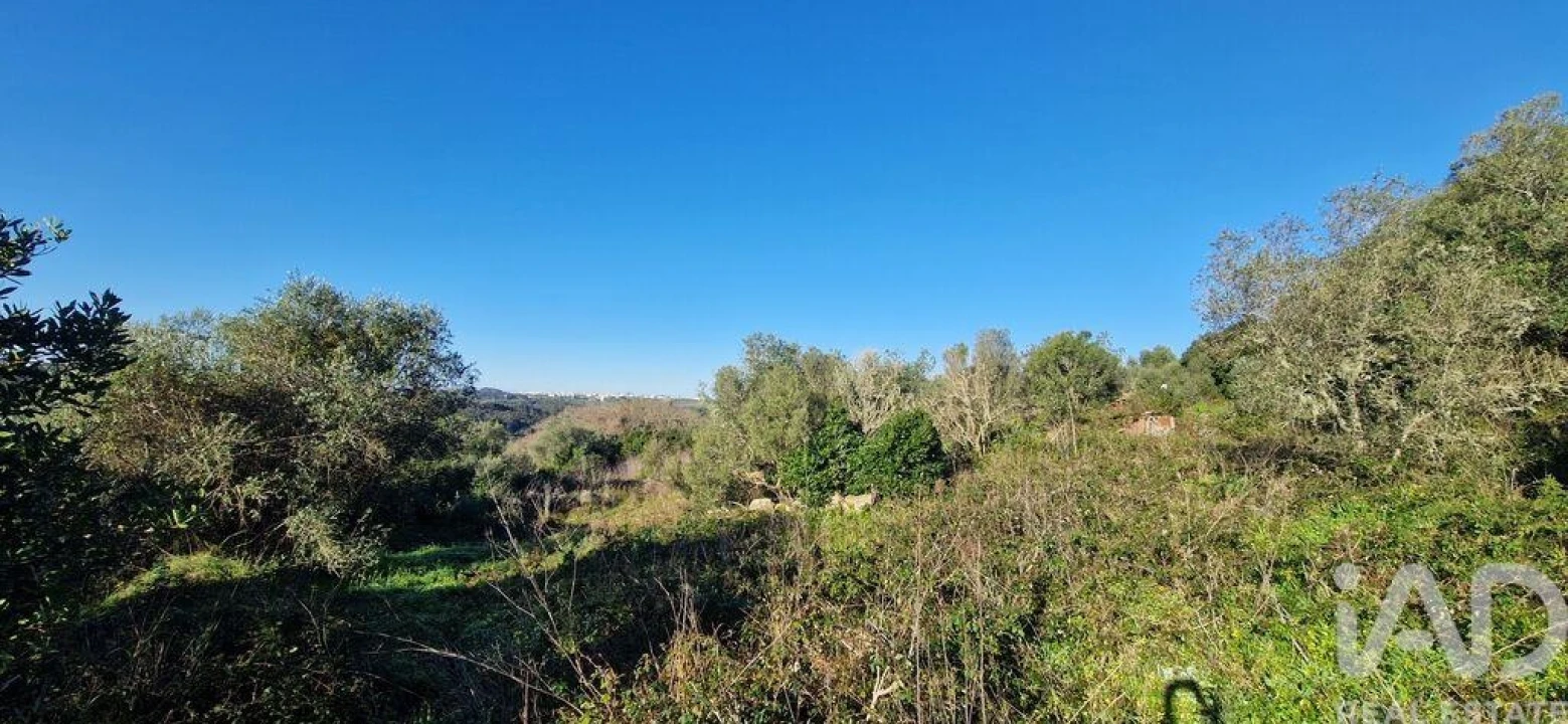 Terreno para Venda em Mafra Foto 8