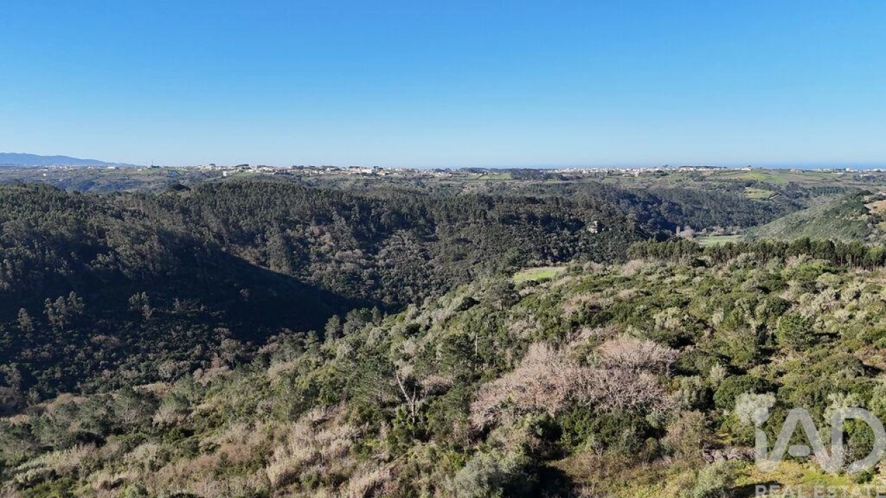 Terreno para Venda em Mafra Foto 25