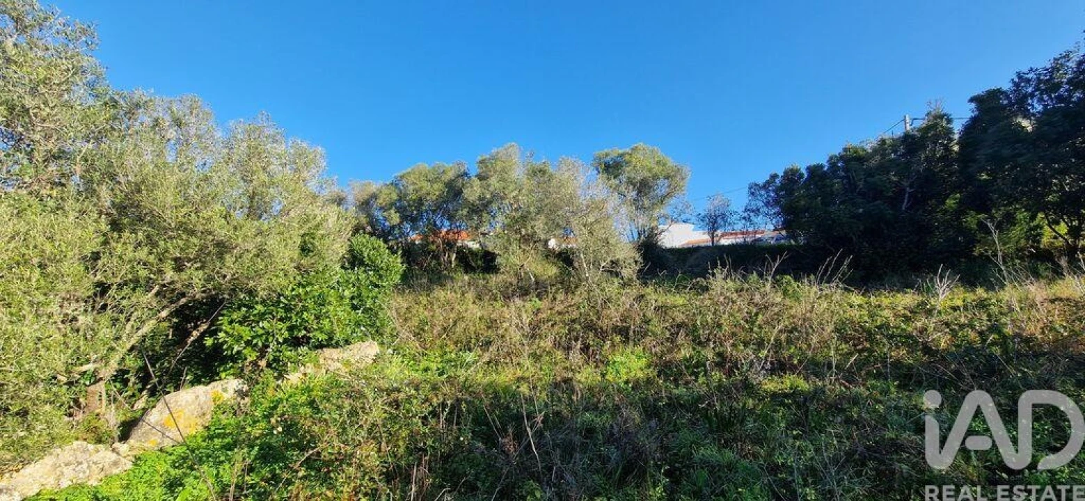 Terreno para Venda em Mafra Foto 10