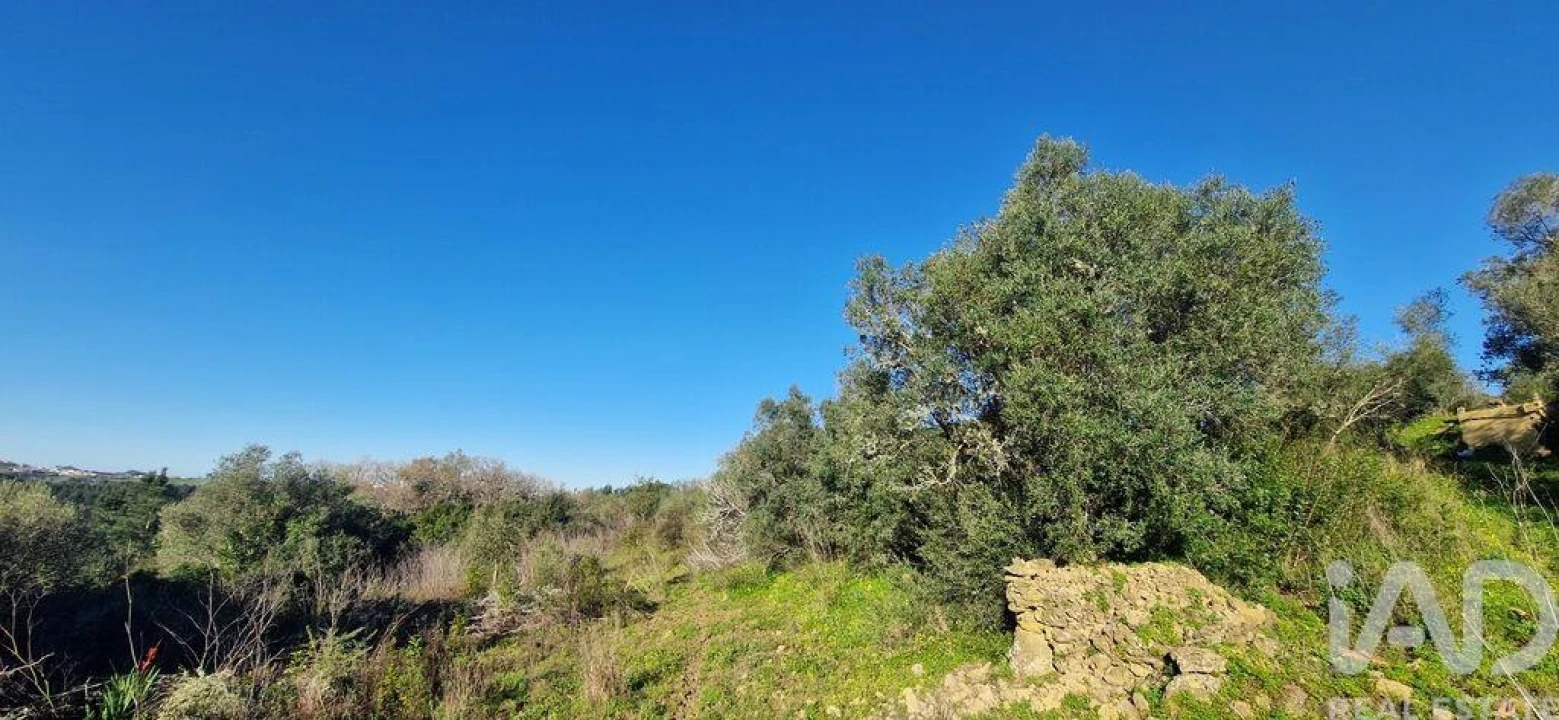 Terreno para Venda em Mafra Foto 11