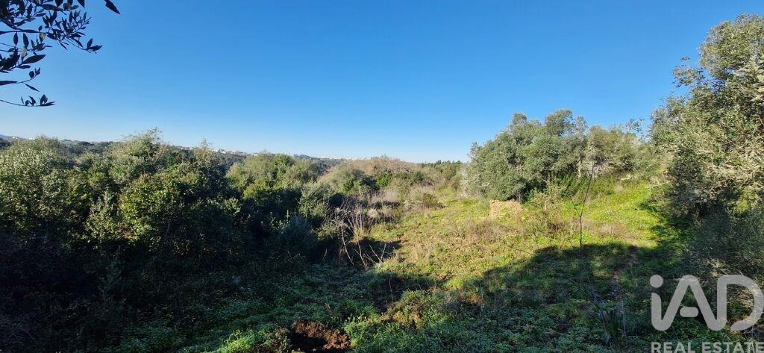 Terreno para Venda em Mafra Foto 9