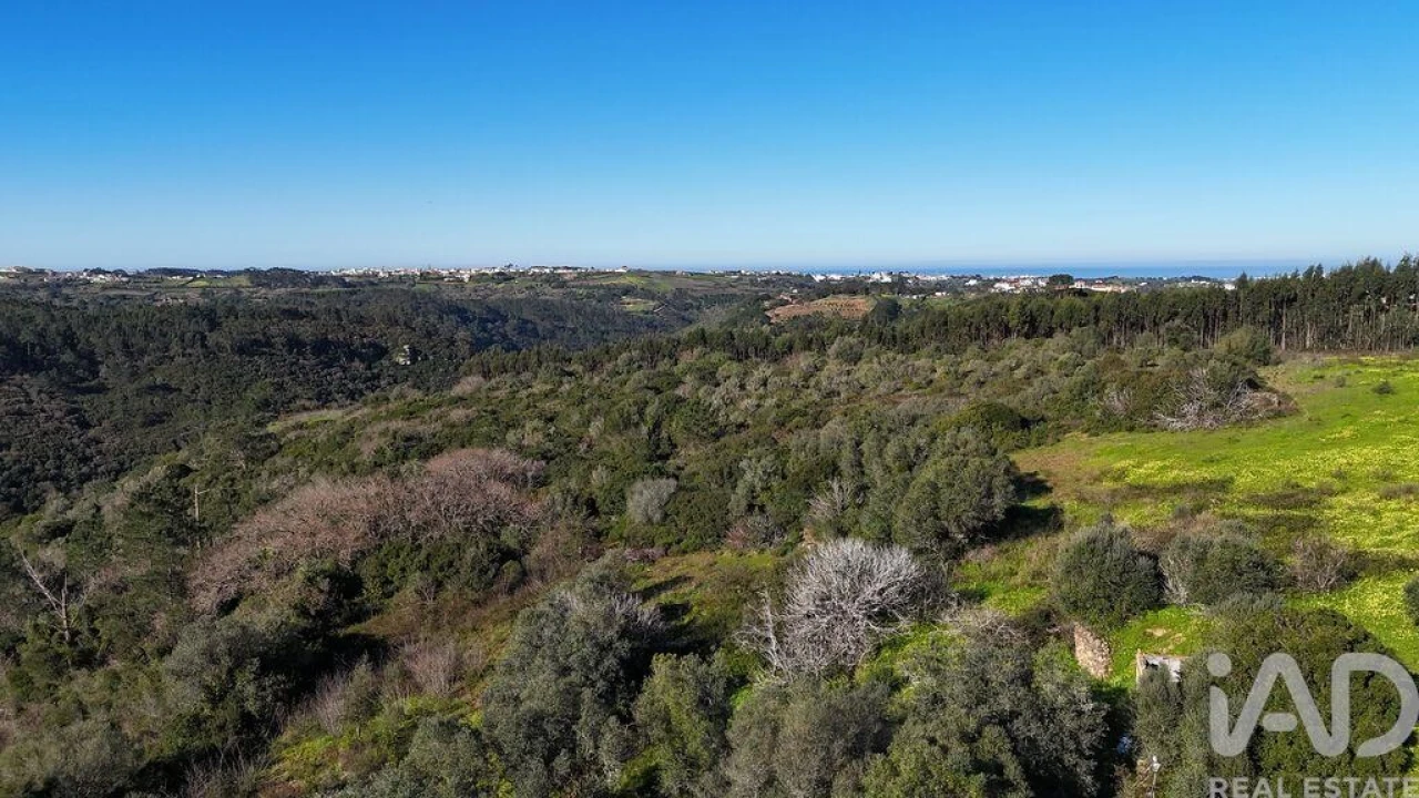 Terreno para Venda em Mafra Foto 4