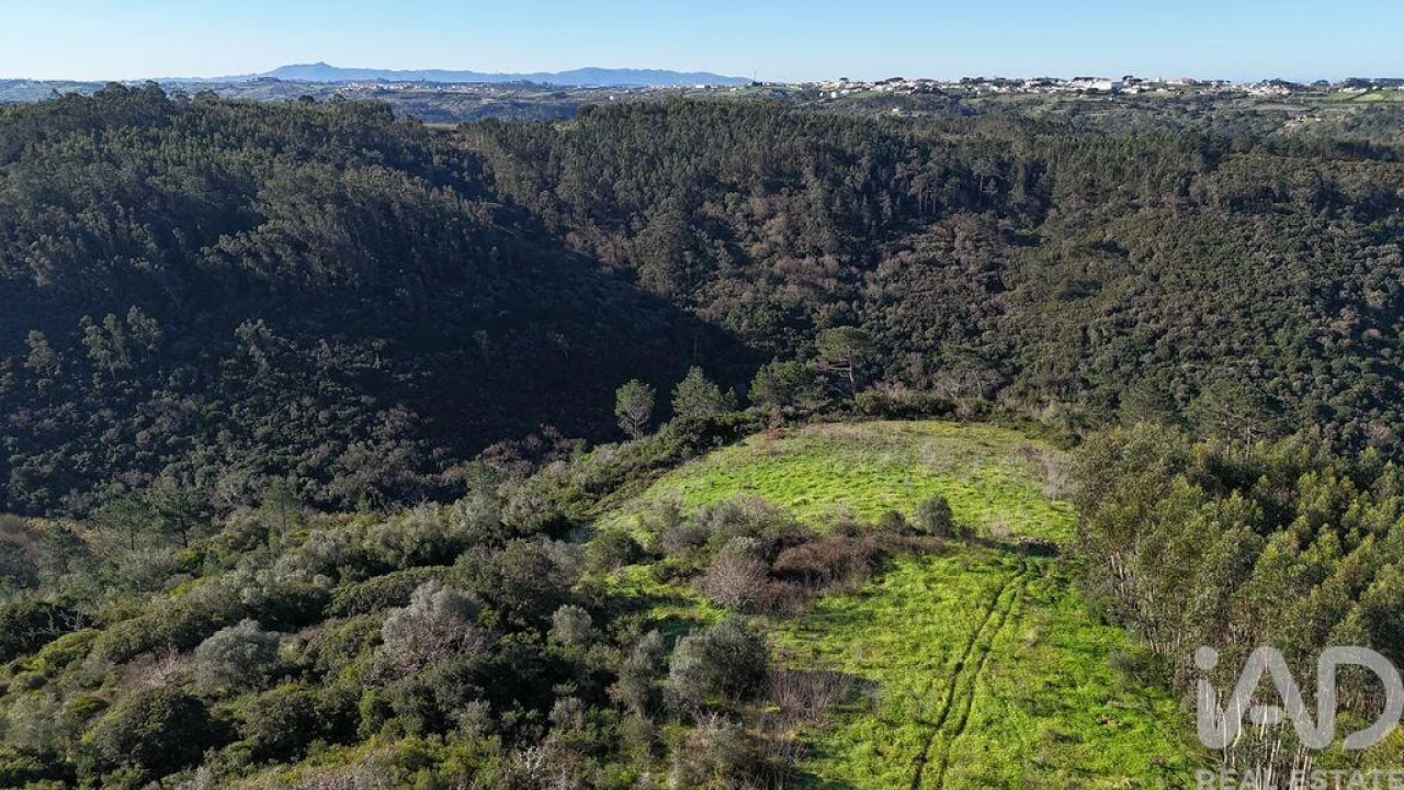 Terreno para Venda em Mafra Foto 1