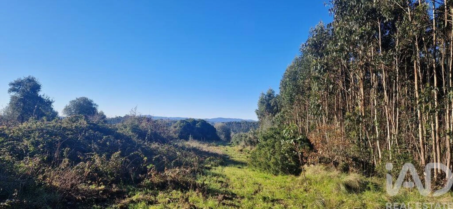 Terreno para Venda em Mafra Foto 22