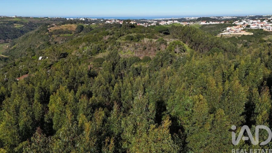 Terreno para Venda em Mafra Foto 24