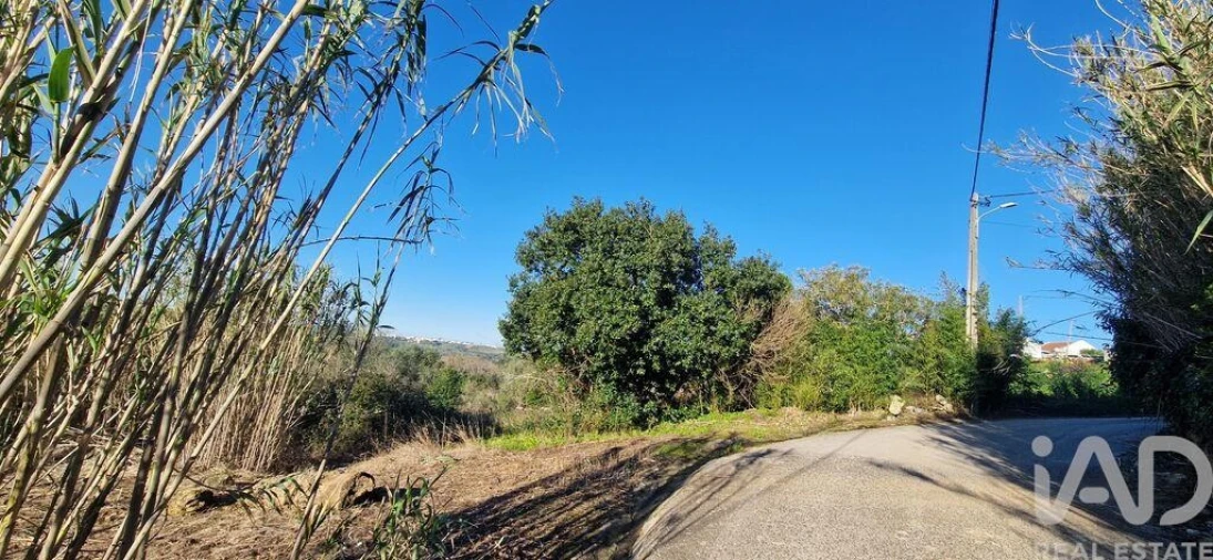 Terreno para Venda em Mafra Foto 7