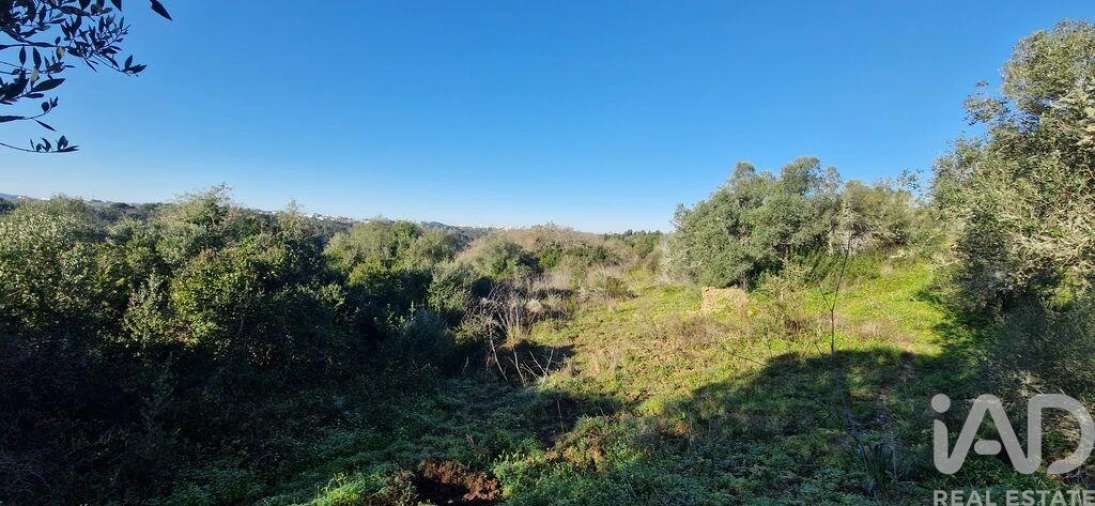 Terreno para Venda em Mafra Foto 9