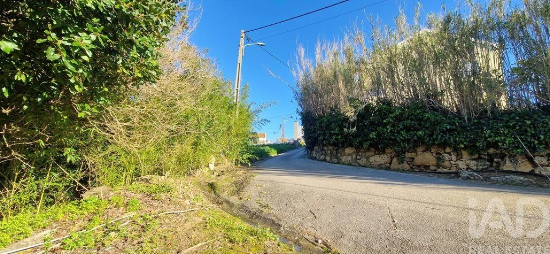 Terreno para Venda em Mafra Foto 16