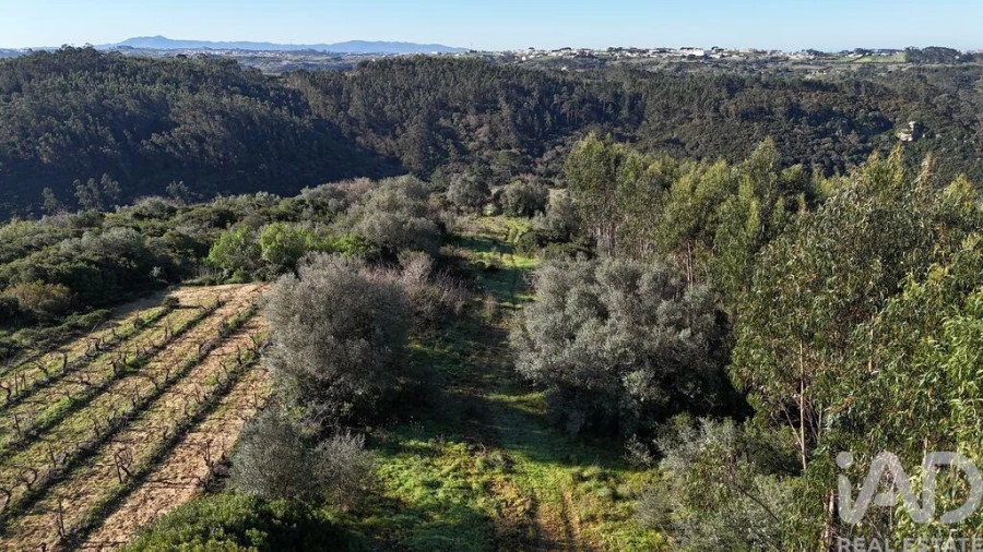 Terreno para Venda em Mafra Foto 23