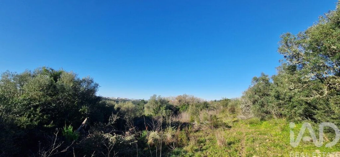 Terreno para Venda em Mafra Foto 12