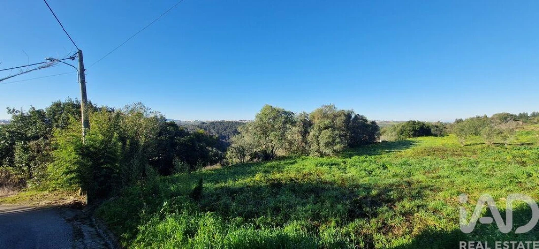 Terreno para Venda em Mafra Foto 17