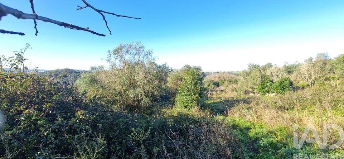 Terreno para Venda em Mafra Foto 13