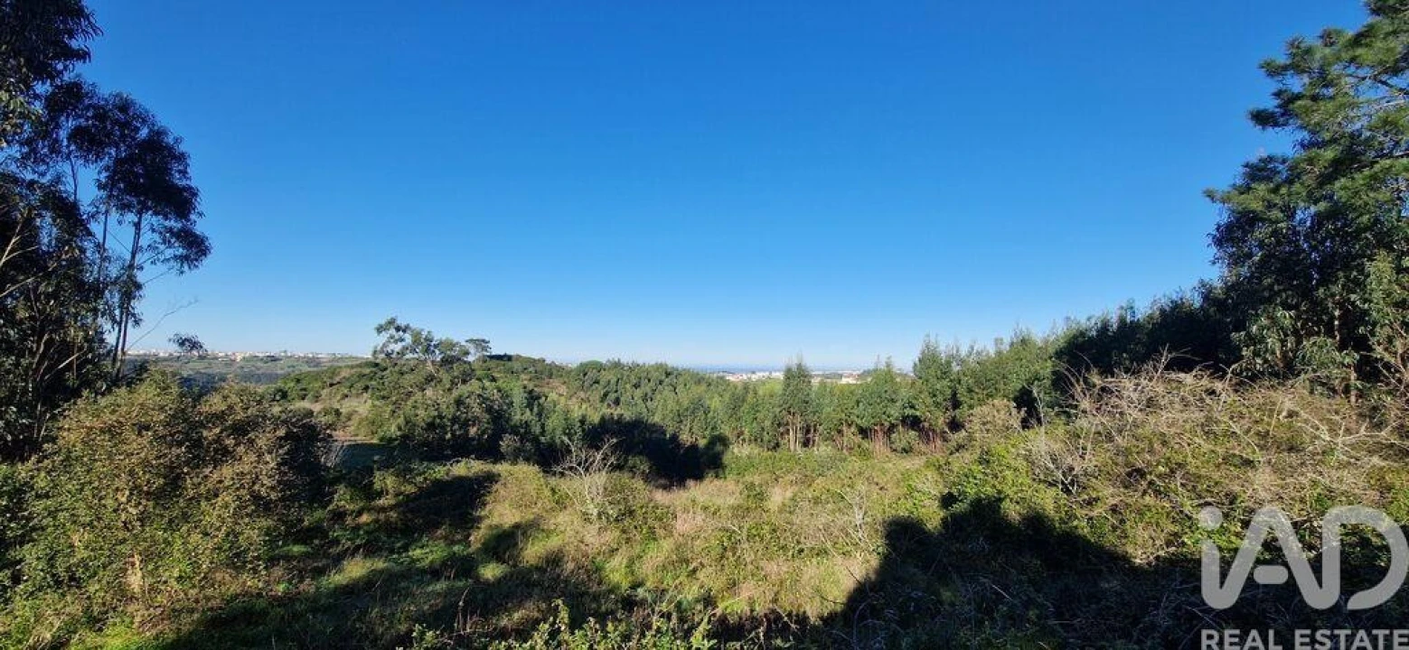 Terreno para Venda em Mafra Foto 20