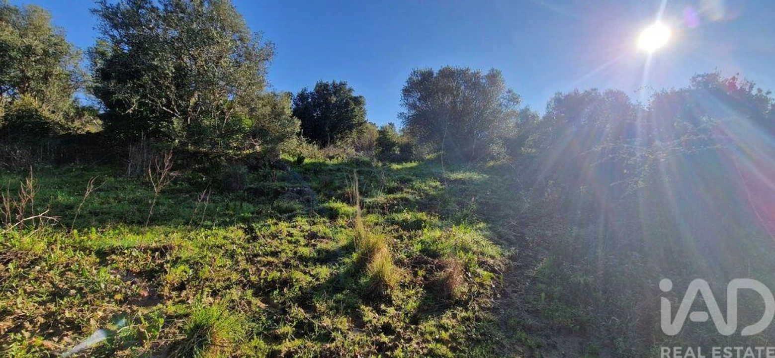 Terreno para Venda em Mafra Foto 15