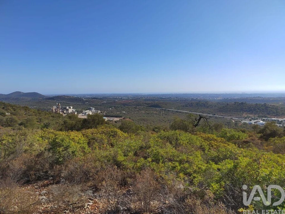 Terreno para Venda em Loule (São Sebastião) Foto 2